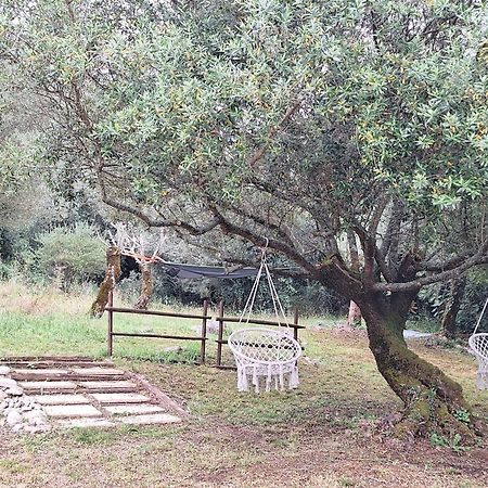 Moradia Rural De Charme Agradavel E Acolhedora Villa Arrimal Eksteriør billede