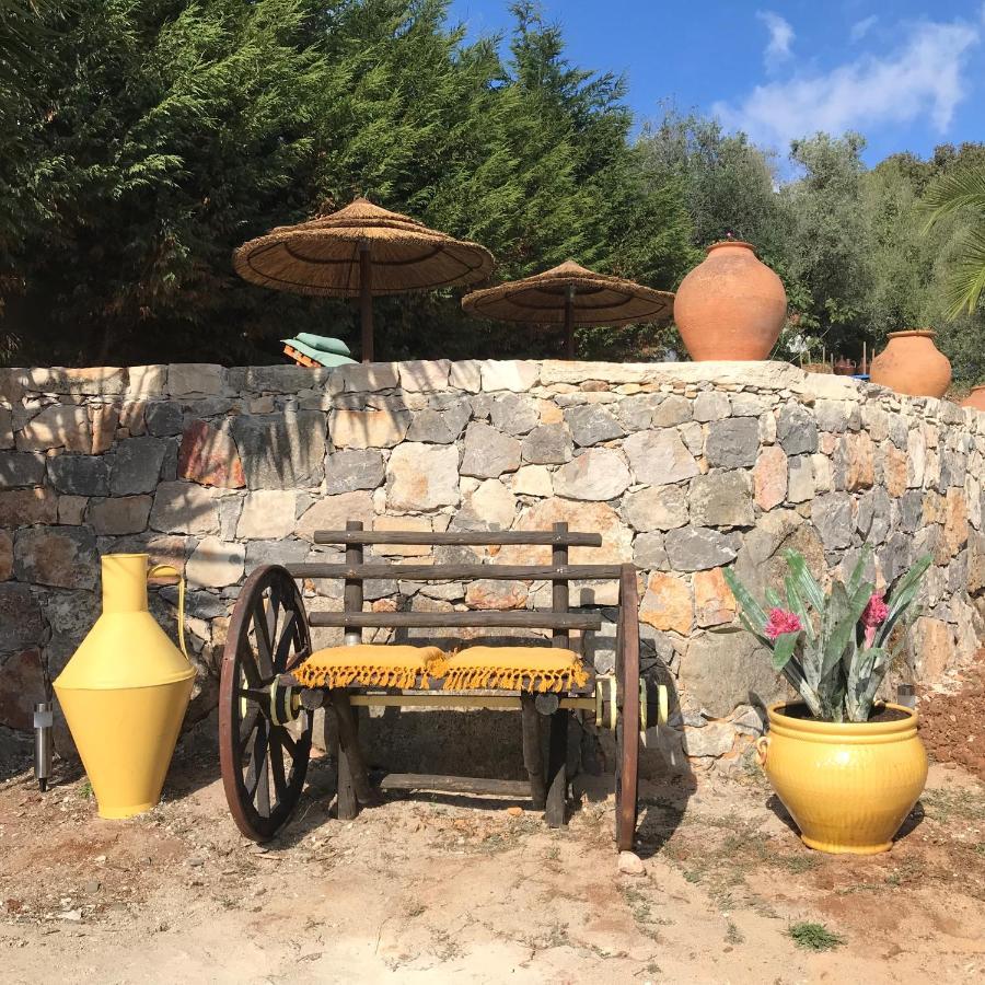 Moradia Rural De Charme Agradavel E Acolhedora Villa Arrimal Eksteriør billede